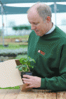 Plant inspecting at T&M